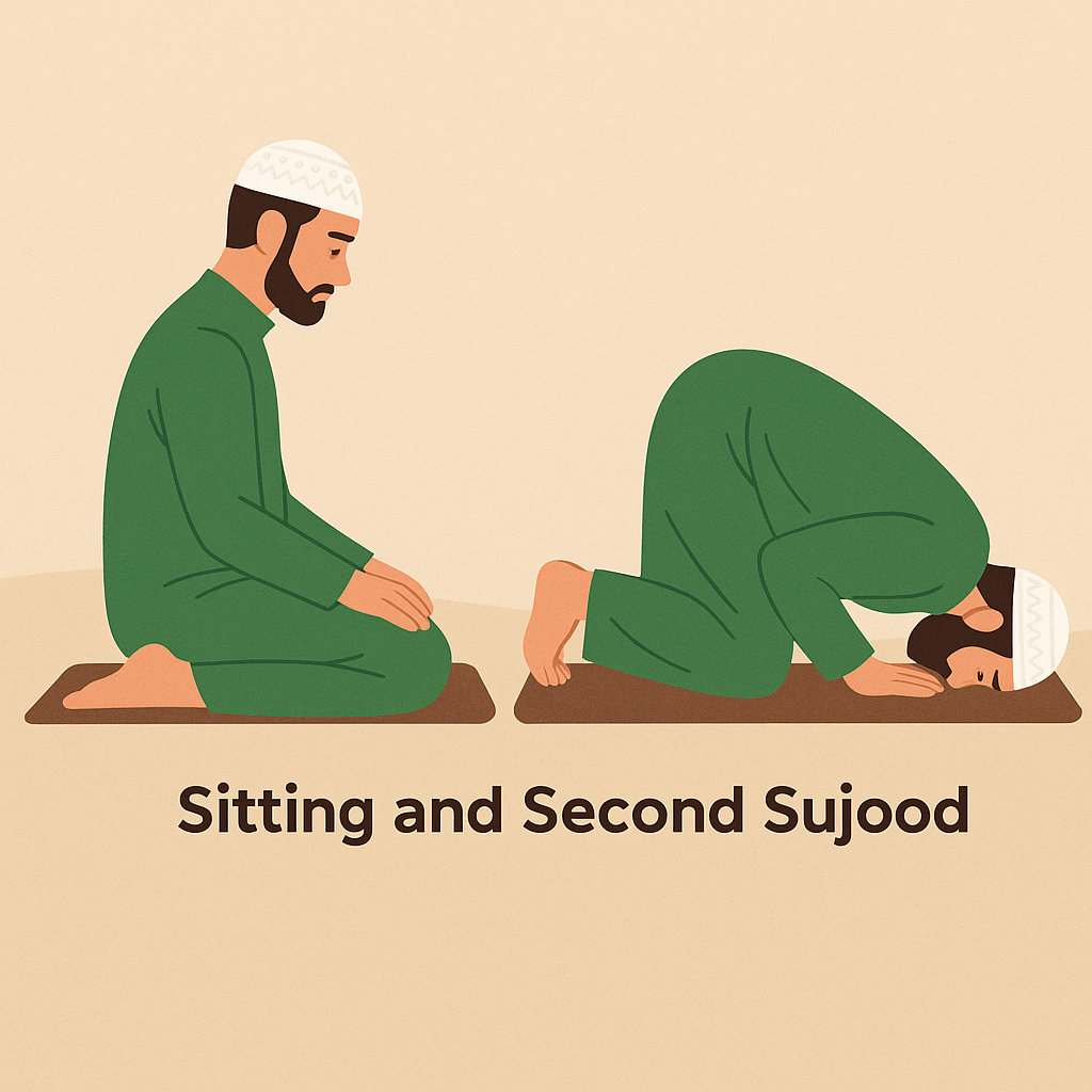 Sitting and Second Sujood